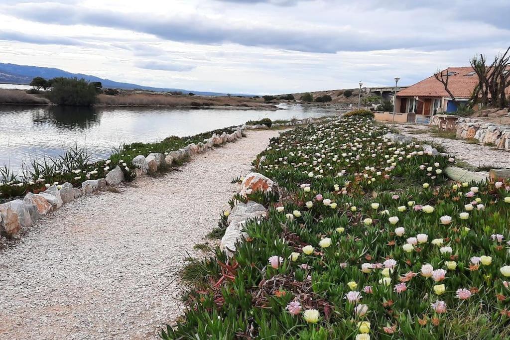 Maisonnette Entre Etang Et Plage Leucate Exteriör bild